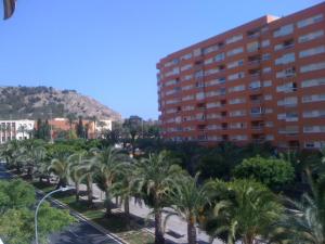 una fila de palmeras frente a un edificio en Habitacion, en Alicante