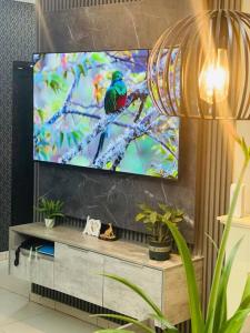 a flat screen tv sitting on top of a entertainment center at Central Gabs Oasis: 2BR-Retreat in Gaborone