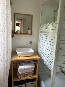 ein Bad mit einem Waschbecken und einer Dusche in der Unterkunft Studio indépendant jardin avec piscine privatisée in Brétigny-sur-Orge