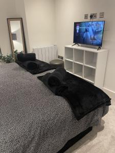 Fotografie z fotogalerie ubytování Modern Old Picture House City Centre Apartment 2 Bed - 1 Covered Secure Parking Space v destinaci Lichfield