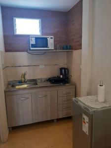 a kitchen with a sink and a microwave on a shelf at Temporario Necochea 2 corrientes in Corrientes