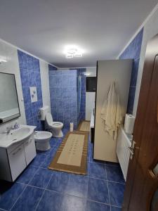 Baño azul con aseo y lavamanos en Casa Sava en Letea Veche
