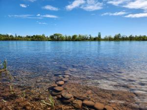 a view of a river with rocks in the water at El mejor descanso in Plottier