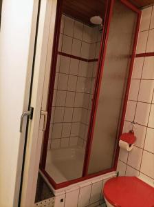 a bathroom with a shower with a red toilet at Kleine Ferienwohnung mit Terrasse am Waldrand in Schönau