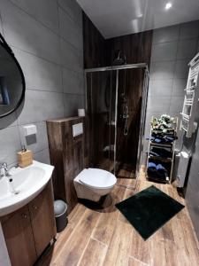 a bathroom with a toilet and a shower and a sink at Domki z Widokiem in Radków