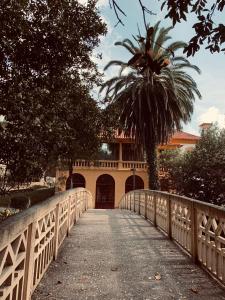 a bridge with a palm tree in front of a building at Aveiro Ria House E in Aveiro