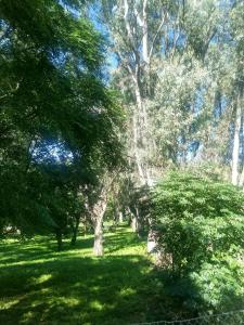 a green park with trees and green grass at Casa al pie de la montaña in San Roque