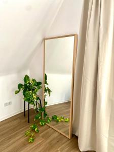 a mirror in a room with a plant at Ferienwohnung am Bollrich in Goslar