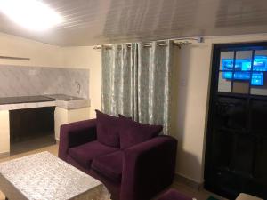 a living room with a purple couch and a window at the botanical bliss 1 bedroom in Nairobi