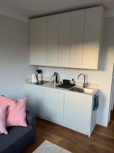 Kuchyň nebo kuchyňský kout v ubytování Rodinný apartmán Bratrouchov