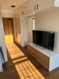 a living room with a large flat screen tv at Rodinný apartmán Bratrouchov in Semily