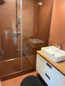 W łazience znajduje się prysznic i umywalka. w obiekcie Rodinný apartmán Bratrouchov w mieście Semily