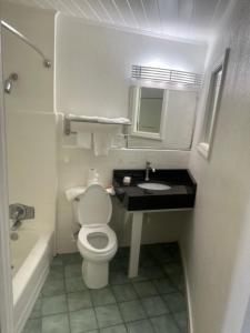 a small bathroom with a toilet and a sink at Whispering Pines Motel in Asheville