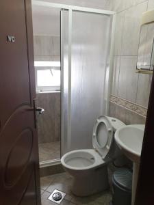 ein Bad mit einem WC und einem Waschbecken in der Unterkunft ENGIN APARTMENT in Struga