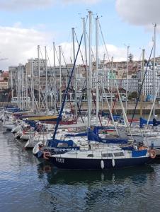 里斯本的住宿－Lisbon Cosy Boat，停靠在港口的一群船