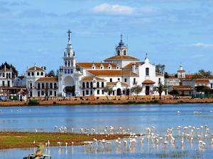 a large white building with a flock of birds in the water at Casa Mejorana in Hinojos