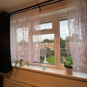 une fenêtre avec des plantes assises sur un rebord de fenêtre dans l'établissement Bree and Geesi, à Birmingham