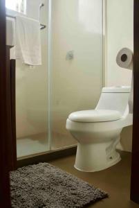 a bathroom with a toilet and a shower and a rug at comfortable and cool suite in Polanco with GYM in Mexico City