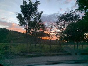 Aussicht von einem Autofenster auf ein Feld mit Bäumen in der Unterkunft Glamping RanchoEmilio in Villavicencio