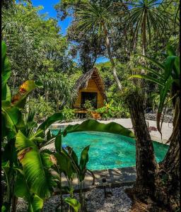 Santa Rosa的住宿－Cabinas de Lou Eco Lodge TAMARINDO，森林中间的小池