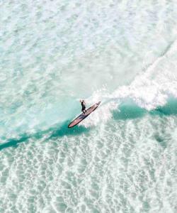 una persona montando una ola en una tabla de surf en el océano en Beach House! 4 Bed Holiday Home Near Byron Bay, en Mullumbimby
