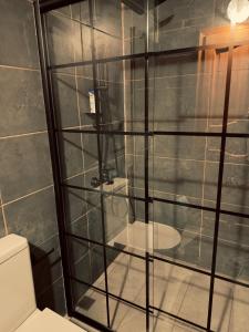 a glass shower in a bathroom with a toilet at AYDER BUNGALOW - river view , Royal Bungalow Resorts in Çamlıhemşin