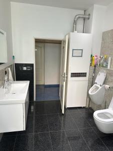 a bathroom with a sink and a toilet at EZB am Main in Frankfurt