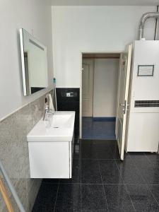 a bathroom with a white sink and a mirror at EZB am Main in Frankfurt