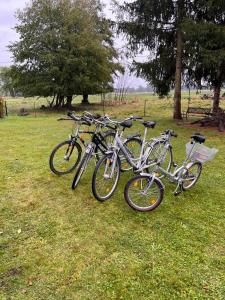 three bikes parked in the grass in a field at Spreewaldhaus Raddusch, Boote- Fahrräder gratis in Raddusch