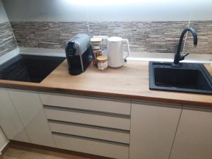 Kuhinja oz. manjša kuhinja v nastanitvi Apartman Lux-besplatno korišćenje zasebne garaže