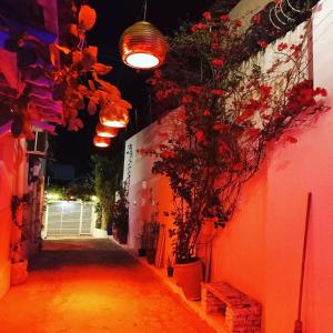 Φωτογραφία από το άλμπουμ του Pousada Flor de Ponta Negra στο Νατάλ