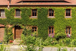 a building covered in green ivy with windows and flowers at Agrohippika in Kondratów