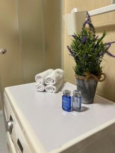 La salle de bains est pourvue d'un lavabo et d'une plante en pot. dans l'établissement Apartman Magnolija, à Zemun