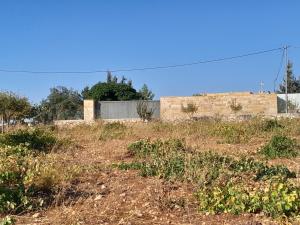 Fotografie z fotogalerie ubytování Jerash mountain studio chalet شاليه جبال جرش و عجلون v destinaci Džaraš