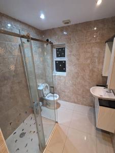 a bathroom with a shower and a toilet and a sink at RAYAN'S LODGE STRATFORD in London