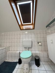 een badkamer met een toilet en een dakraam bij Ferienwohnung BX in Plauen