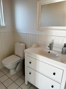 La salle de bains blanche est pourvue de toilettes et d'un lavabo. dans l'établissement Skøn villalejlighed i Skagen med terrasse og tæt på centrum, à Skagen
