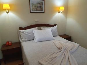 Postel nebo postele na pokoji v ubytování Hotel Peninsular