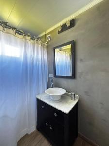 een badkamer met een wastafel en een spiegel bij Los Narcisos in San Antonio de Areco