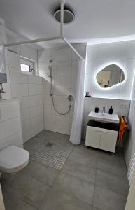 a bathroom with a shower and a toilet and a sink at Apartment Küche Arbeitsplatz Netflix WLan Barrierefrei in Augsburg