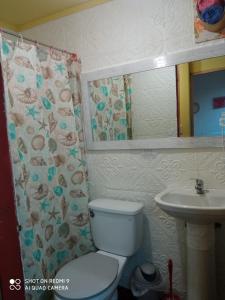 a bathroom with a toilet and a sink at Hostal¤ Familiar¤ in Chillán