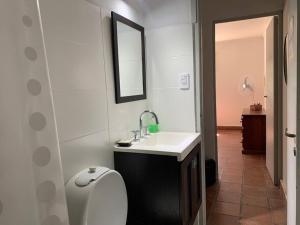 uma casa de banho com um lavatório, um WC e um espelho. em La casita de Isabella em Córdoba