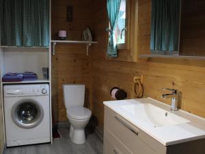 a bathroom with a toilet and a sink and a washing machine at Gîte Barbas, 2 pièces, 2 personnes - FR-1-584-16 