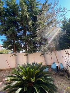 Vila Afrimi - Image 8