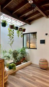 a room with potted plants and a window at Luum Guest House in Medellín