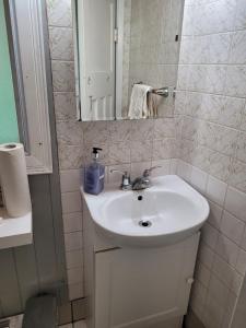 a bathroom with a sink and a mirror at Cozy downtown two bedrooms free parking in Kingston