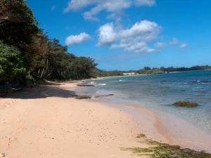 una playa de arena con árboles y el océano en Itʻs All About the Beach, en Hauula