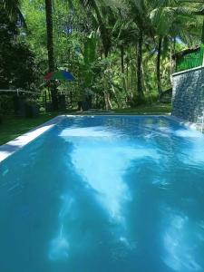 a large blue swimming pool with trees in the background at JKO woodland resort in Malampay