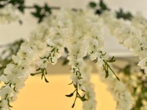 Foto dalla galleria di Wisteria a Nafpaktos
