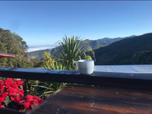 a cup of coffee sitting on a table on a balcony at ม่านฟ้าฮิลล์ ภูชี้ฟ้า 